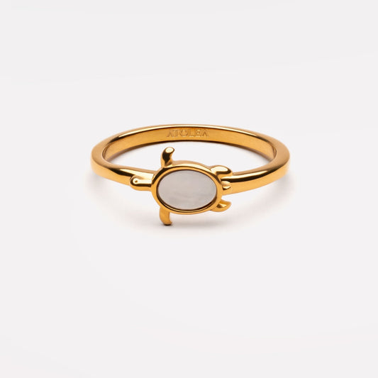 Anillo de tortuga marina