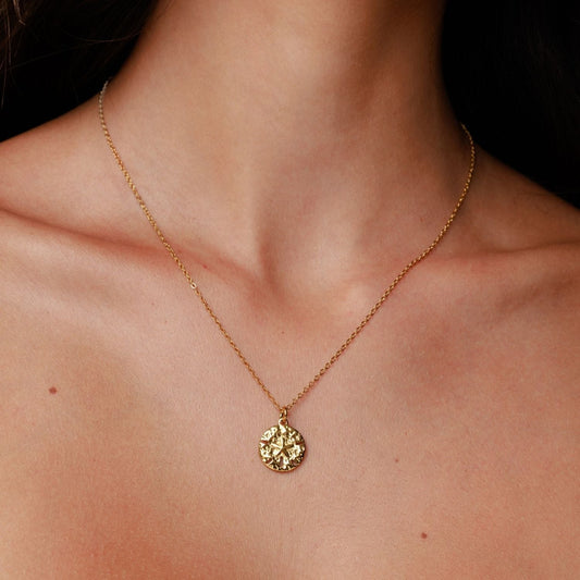 Collar de dólar de arena