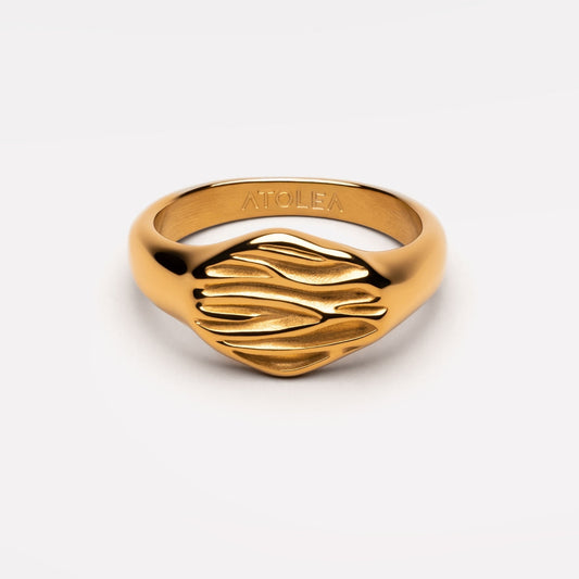 Anillo de Marea