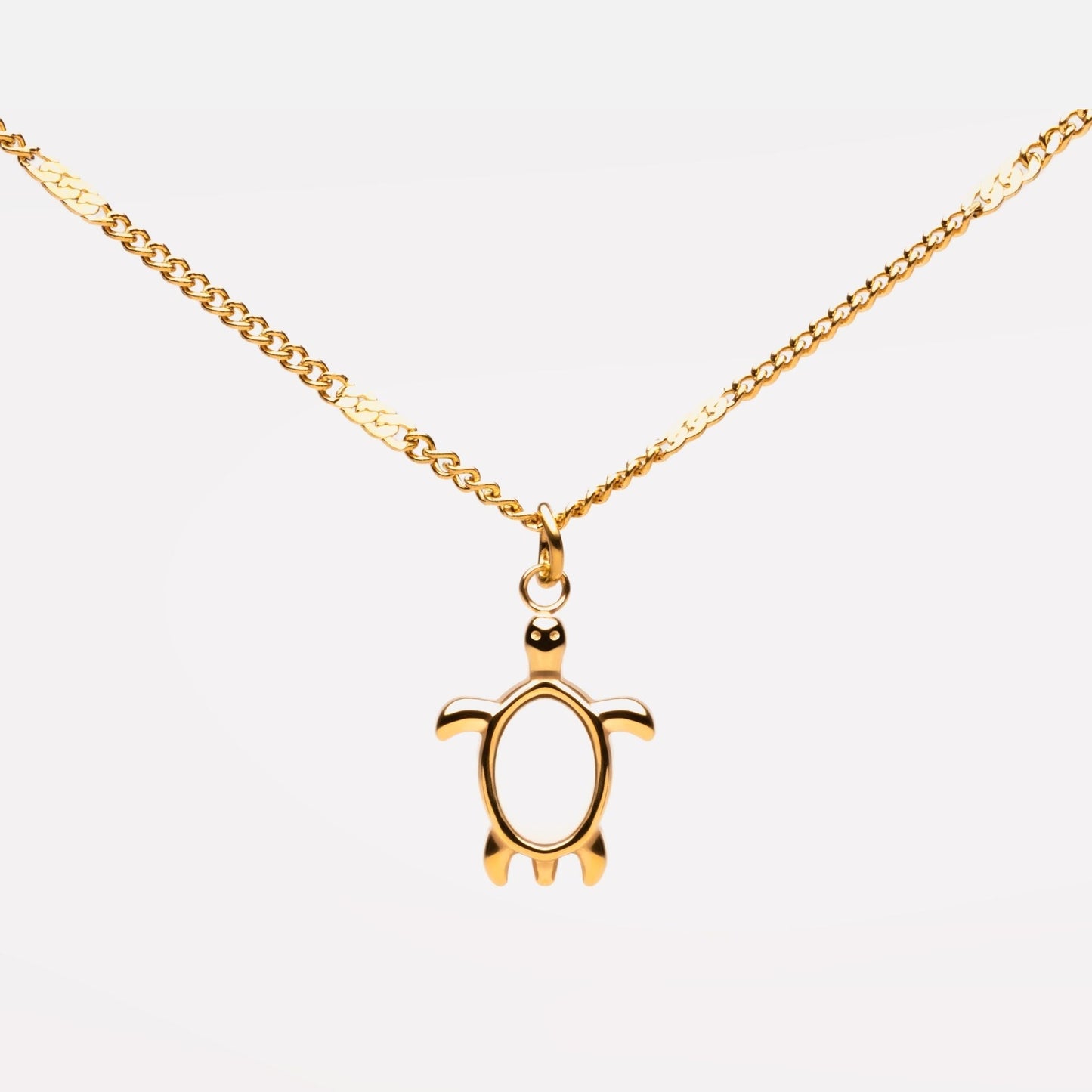 Turtle Guardian Necklace